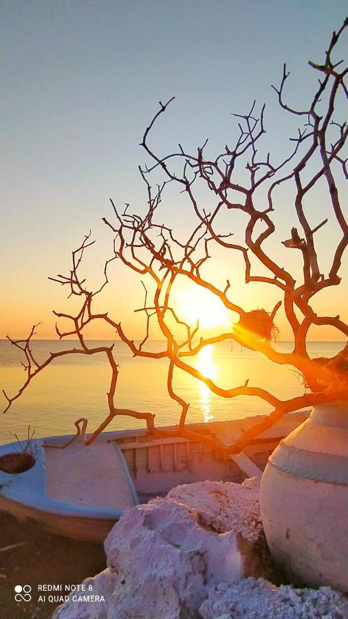 Sea Sound Villa Agios Dimitrios  Екстериор снимка