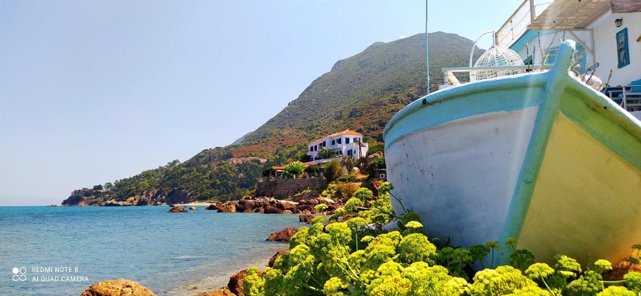 Sea Sound Villa Agios Dimitrios  Екстериор снимка